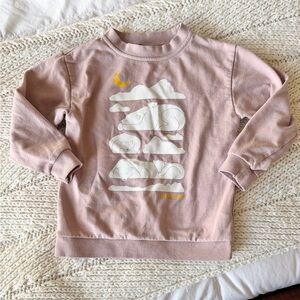 Patagonia sweatshirt 5T. Dusty rose color